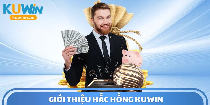 Giới thiệu Hắc Hồng Kuwin